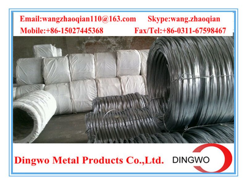 Galvanized iron wire/galvanized iron wire/electro galvanized wire/hot dip galvanized wire