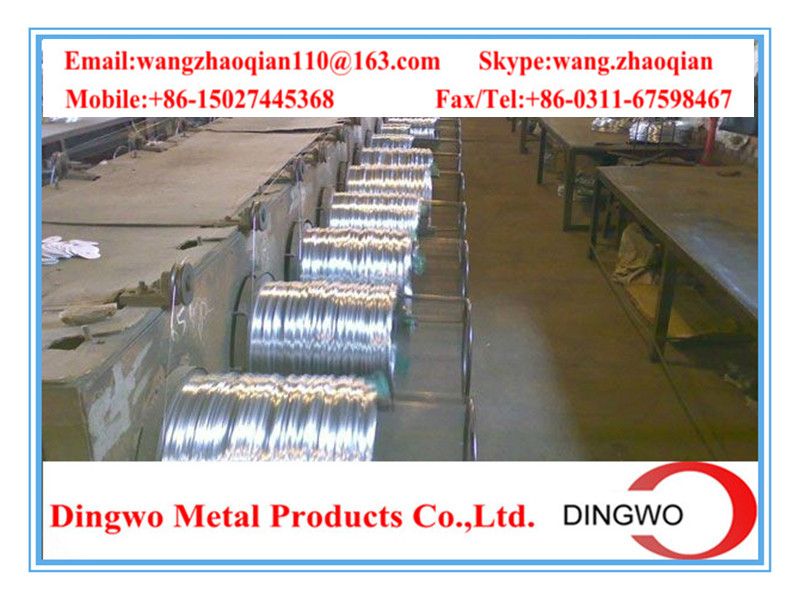 Galvanized iron wire/black wire/galvanized iron wire/electro galvanized wire/hot dip galvanized wire