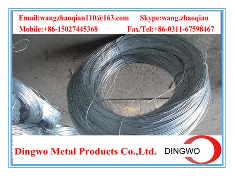 Galvanized iron wire/galvanized iron wire/electro galvanized wire/hot dip galvanized wire