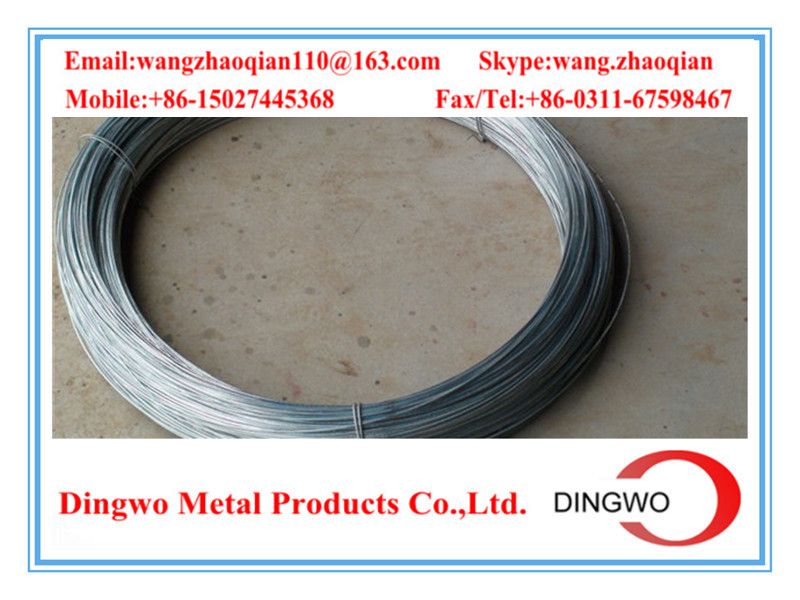 Galvanized iron wire/galvanized iron wire/electro galvanized wire/hot dip galvanized wire