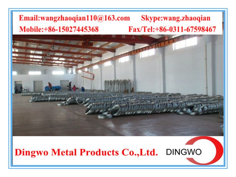 Galvanized iron wire/galvanized iron wire/electro galvanized wire/hot dip galvanized wire