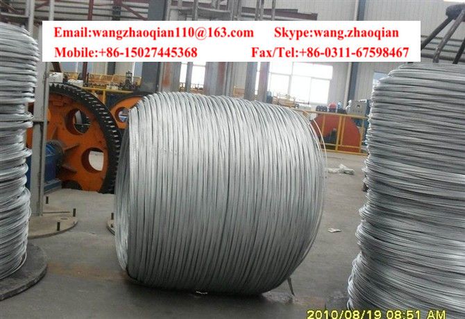 Galvanized iron wire/galvanized iron wire/electro galvanized wire/hot dip galvanized wire