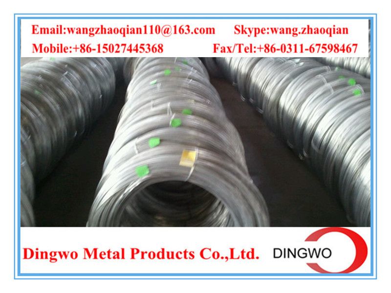 Galvanized iron wire/galvanized iron wire/electro galvanized wire/hot dip galvanized wire