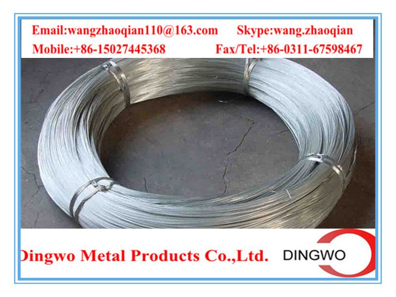 Galvanized iron wire/galvanized iron wire/electro galvanized wire/hot dip galvanized wire