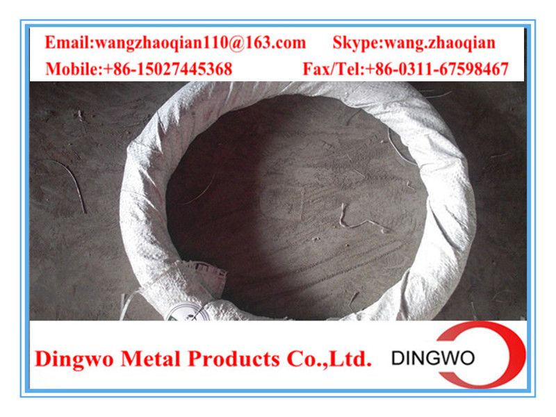 Galvanized iron wire/galvanized iron wire/electro galvanized wire/hot dip galvanized wire