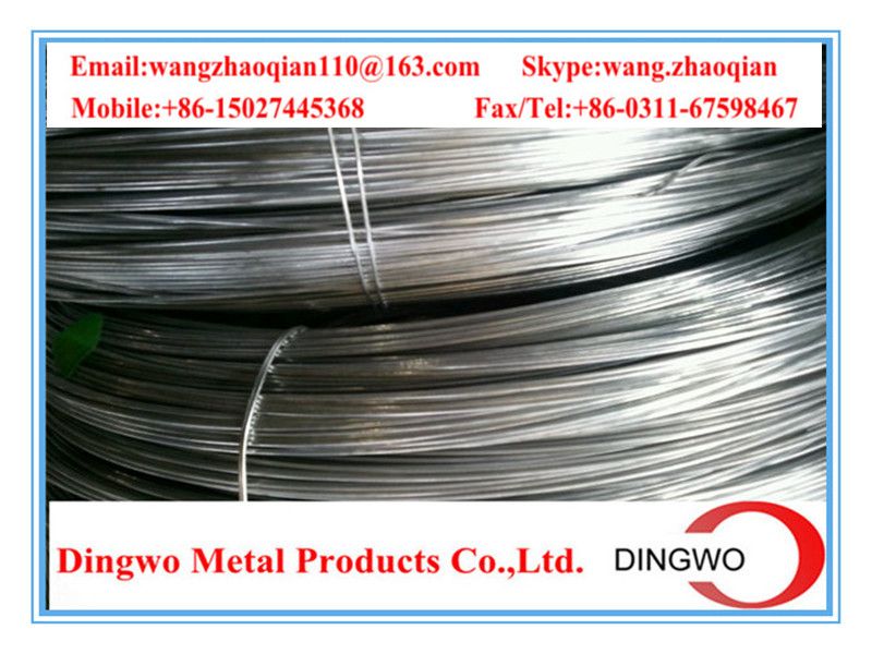 Galvanized iron wire/galvanized iron wire/electro galvanized wire/hot dip galvanized wire