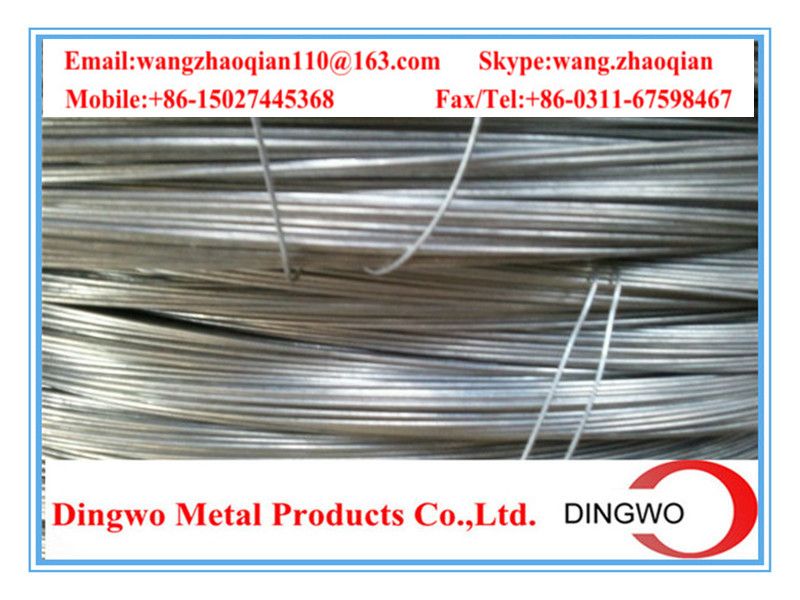 Galvanized iron wire/galvanized iron wire/electro galvanized wire/hot dip galvanized wire