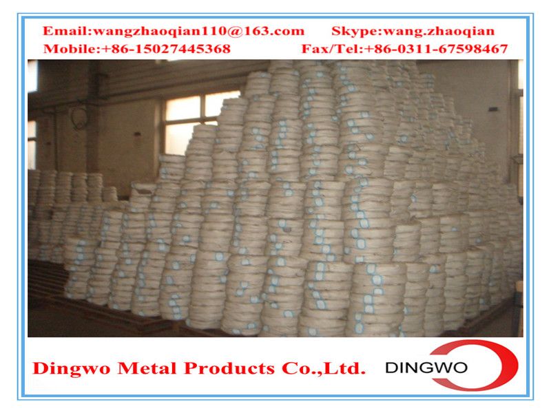 Galvanized iron wire/galvanized iron wire/electro galvanized wire/hot dip galvanized wire