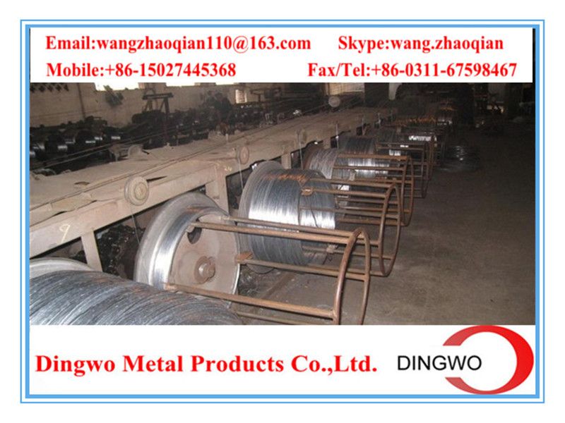 Dip Galvanized Wire