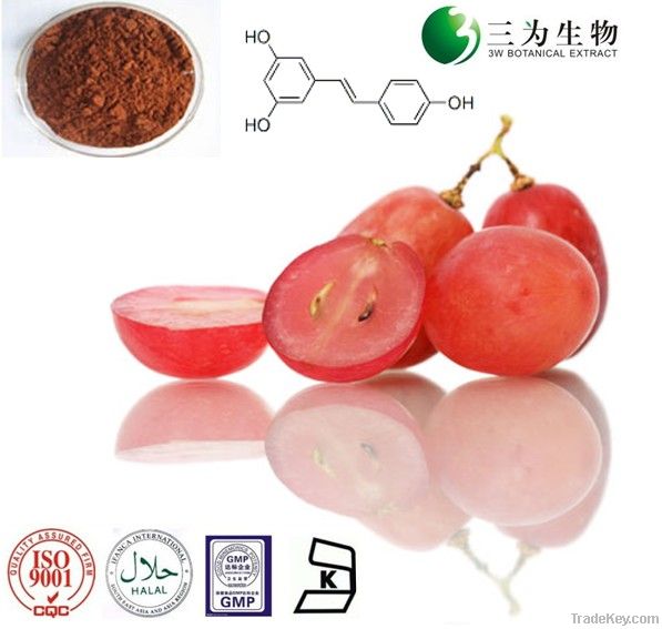 Grape Skin Extract, 5% Resveratrol