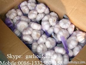 Fresh Garlic Small Packing