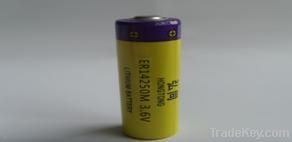 1/2 AA ER14250M primary lithium battery with 650mah capacity