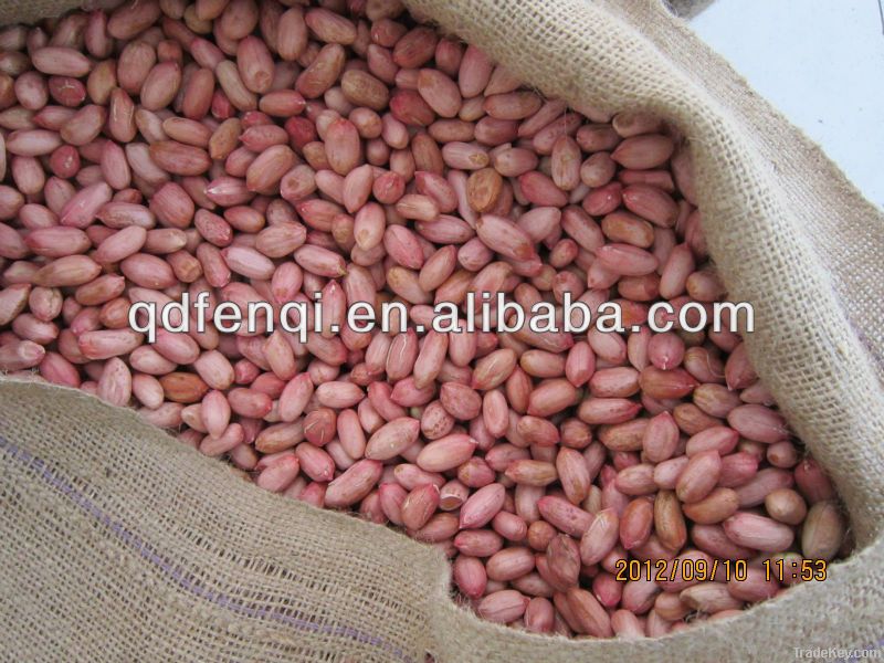 Raw Peanut Kernels