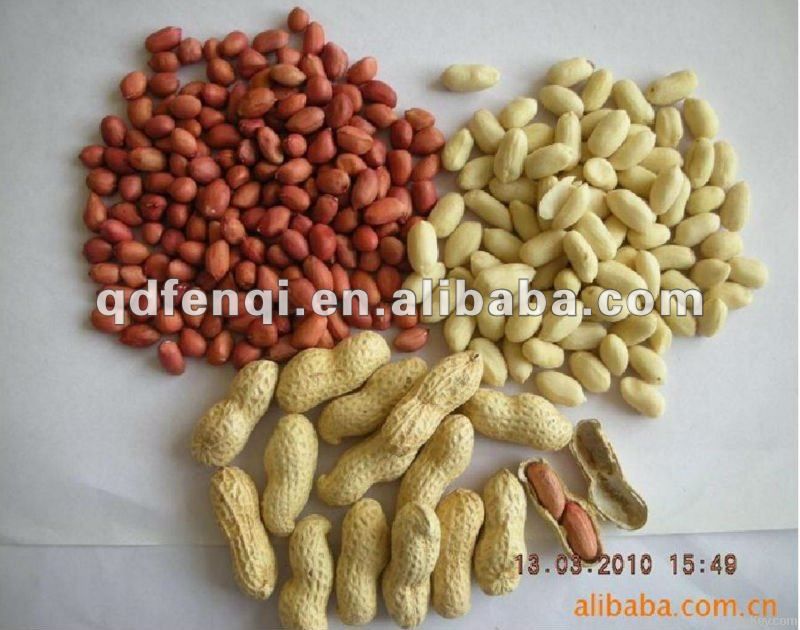 Raw Red Skin Peanuts