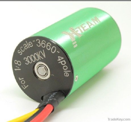 Brushless Motor