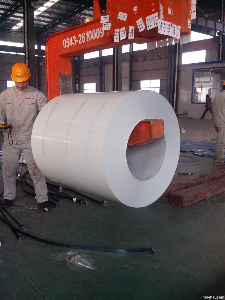 Color Coated Steel Coil