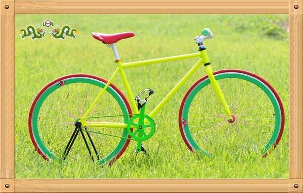 700C fixed gear bike/26" fixie factory/700*23C fixed gear bicycle