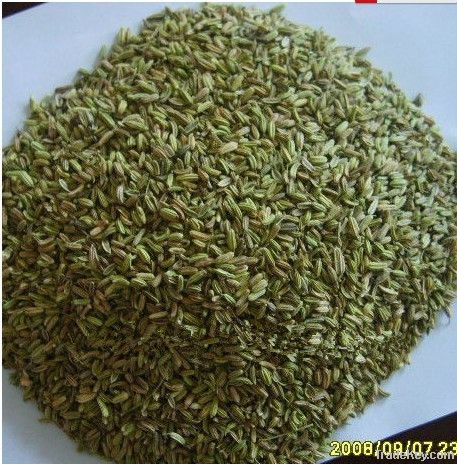 Dried Fennel seeds