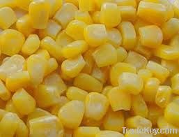 FROZEN SWEET CORN