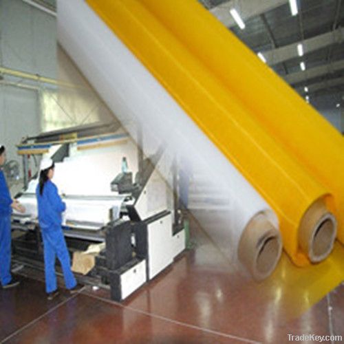 Polyester Screen Printing Mesh Fabric (DPP)
