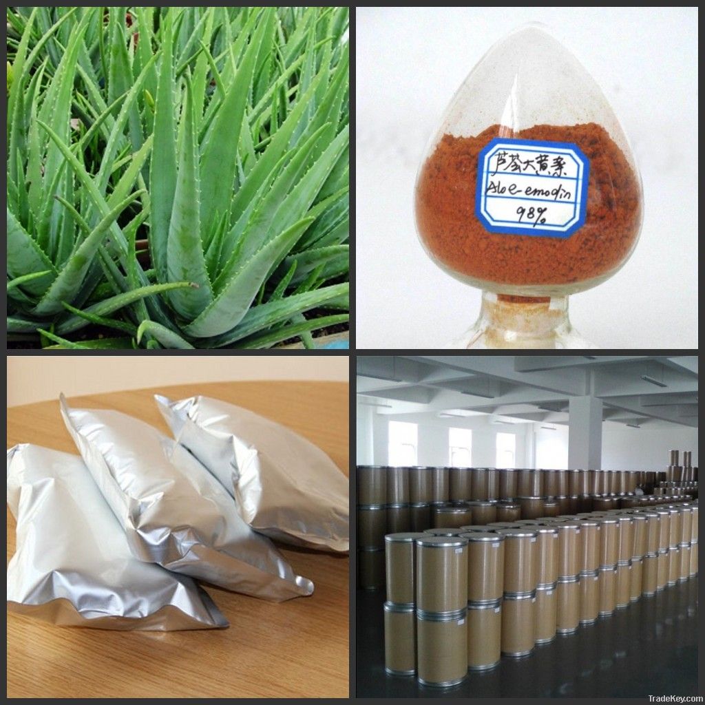 Factory Supply Natural Aloe-emodin Aloe Extract Powder Aloe Emodin 98%
