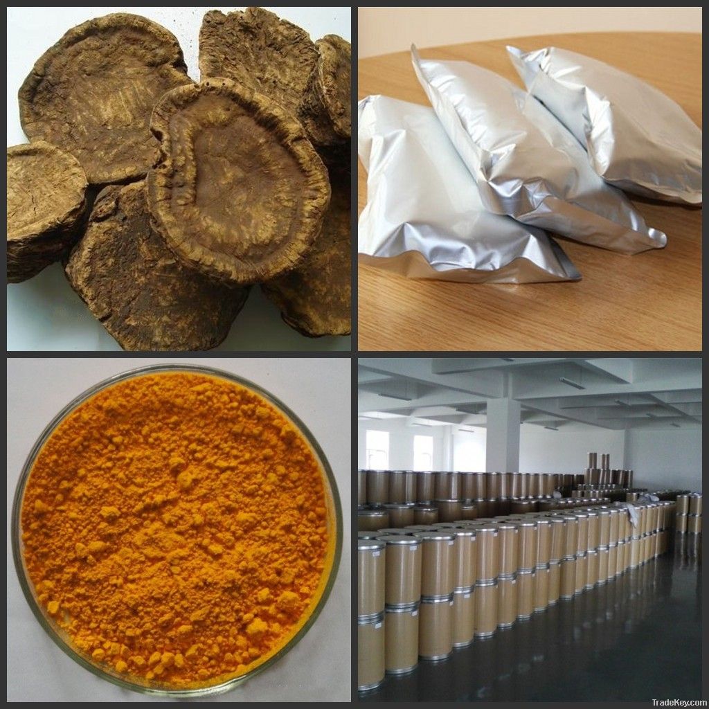 Factory Supply Rhein 98% rhubarb extract rhubarb powder