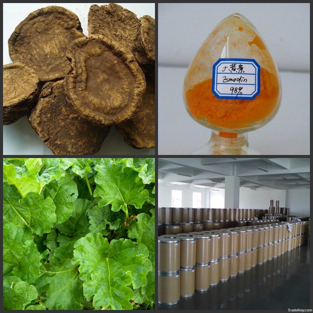 Factory supply emodin rhubarb extract rheum officinale extract
