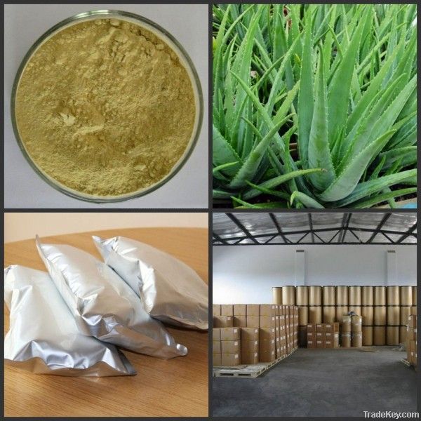 Factory Supply Aloe Vera Extract Powder Aloin A+B