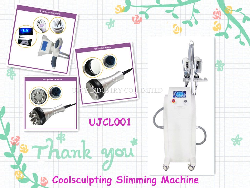 Cryolipolysis Fat Freeze Slimming Machine/Coolsculpting Slimming Machine