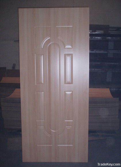 Door skin