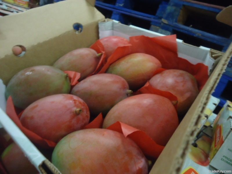 Fresh mangoes certified