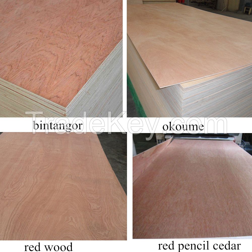 Okoume Plywood