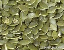 Pumpkin Seeds Grown Without Shell A