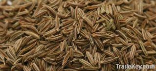 Cumin seeds