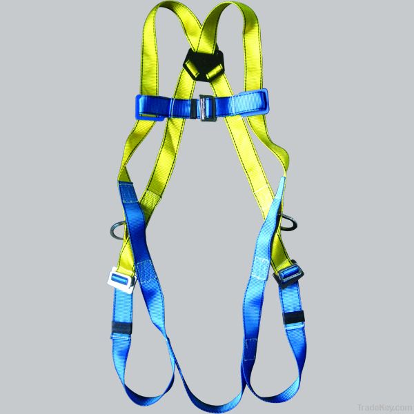 Full Body Harness