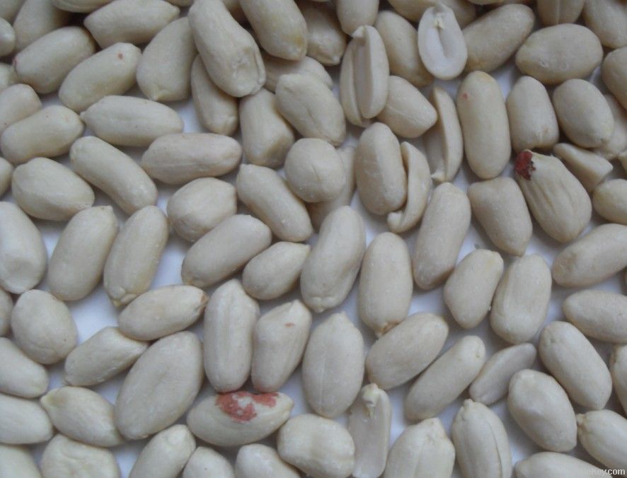 blanched peanut29/33