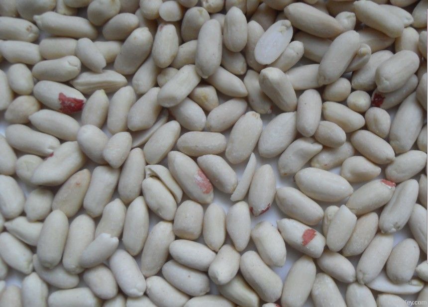 blanched peanut39/43