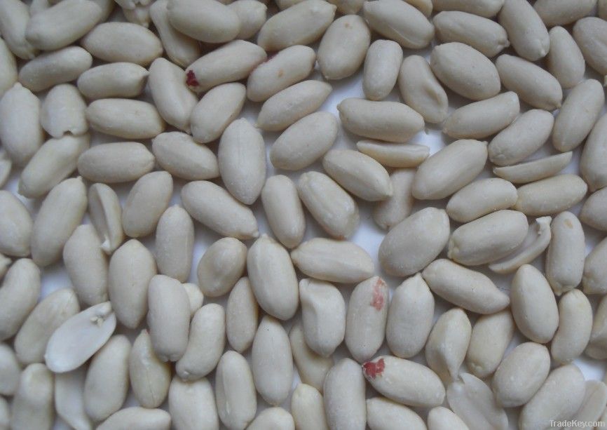 blanched peanut35/39