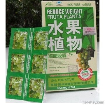 Fruta Planta Weight Loss Capsule, 100% pure nature slimming pill