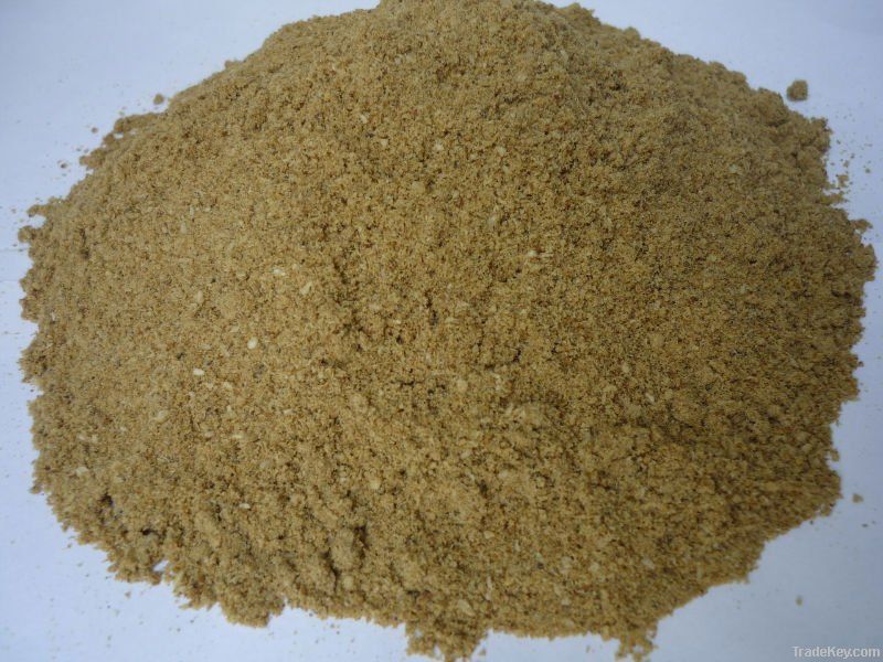 high protein 65% fish meal for  feed