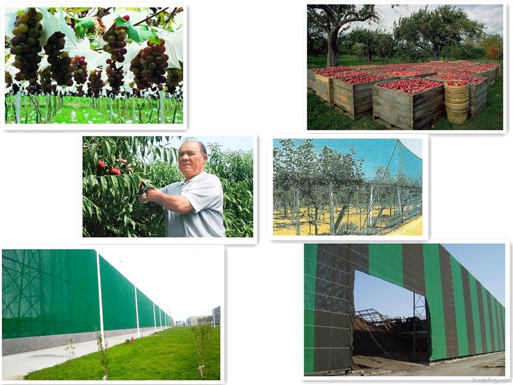 HDPE winbreak net and inoxidizability for vegetables or trees/flowers