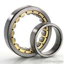 Cylindrical Roller Bearing