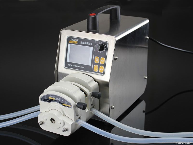 Brushless process systems variable speed metering pump WT-600CA/314D