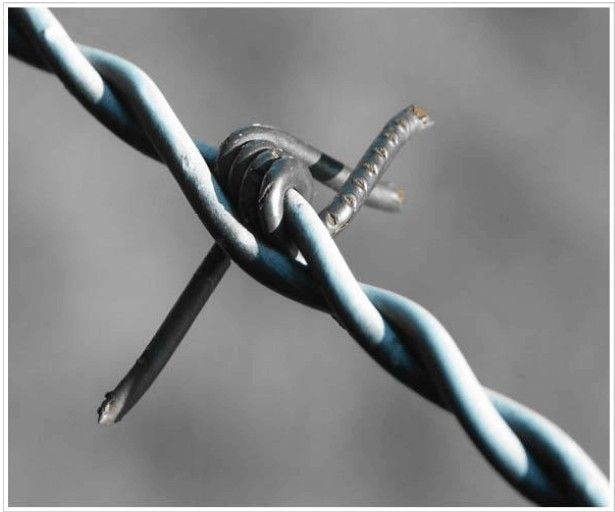 barbed wire,razor barbed wire,different sizes available