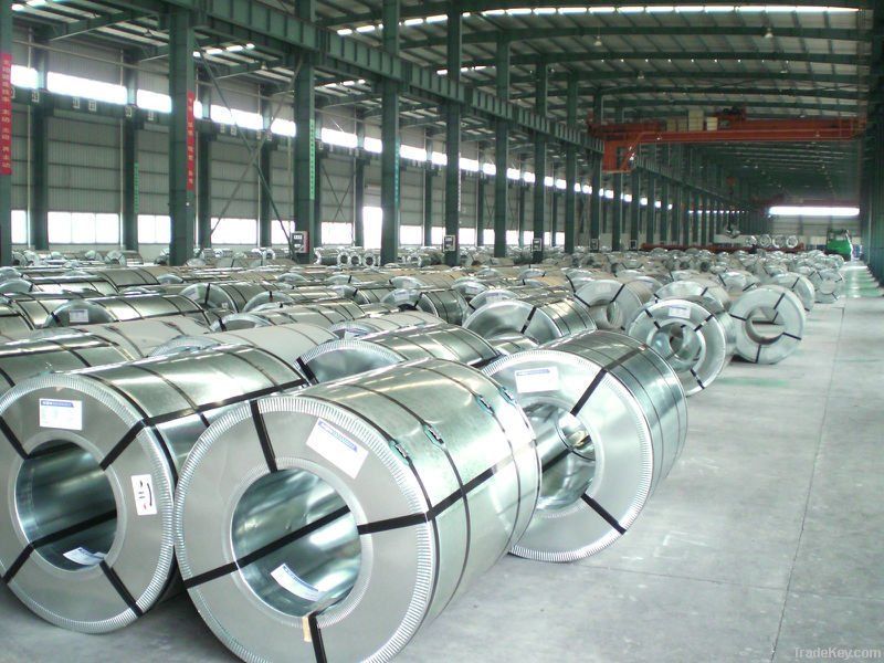 hot dipped galvanized steel coils supplier