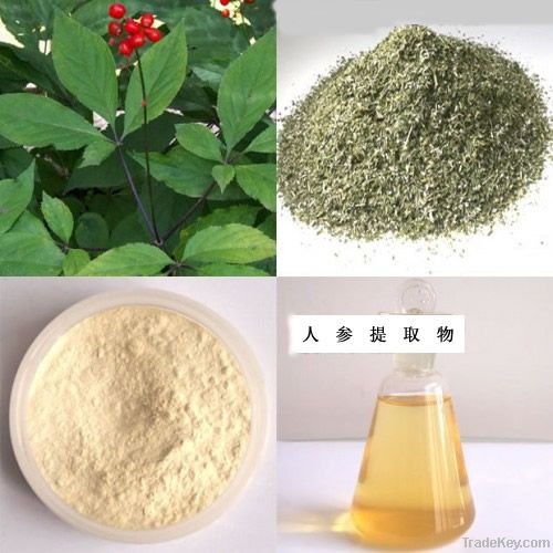 Ginsenoside/Ginseng extract