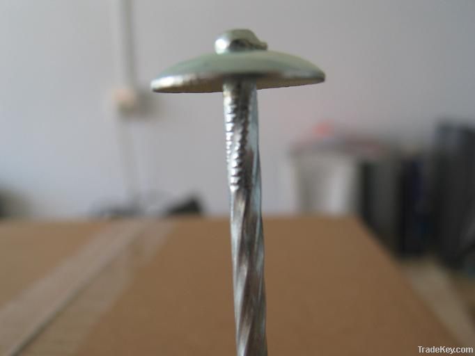 Roofing Nail with Umbrella Head