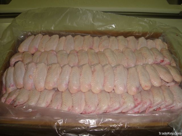 Fresh  and Frozen Chicken Wings