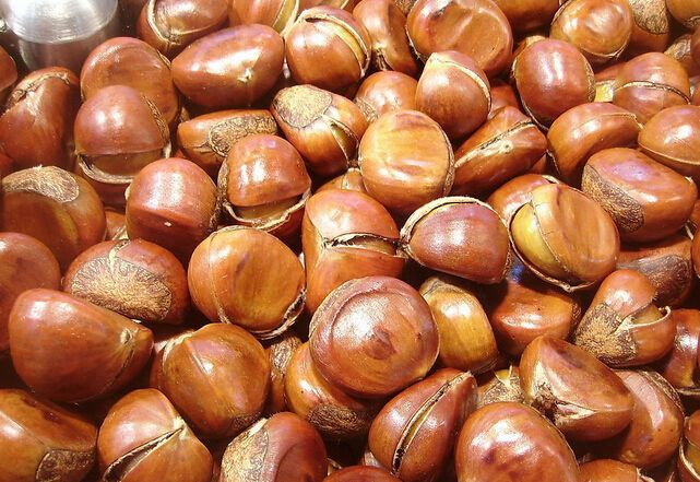 Fresh chinese castanea mollissima/chestnut/chinese chestnut