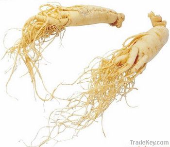 American Ginseng Extract ( Pesticide Free)